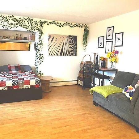 Entire Loft - Elevator - Balcony - Free P - 10M Downtown Quebeque Exterior foto